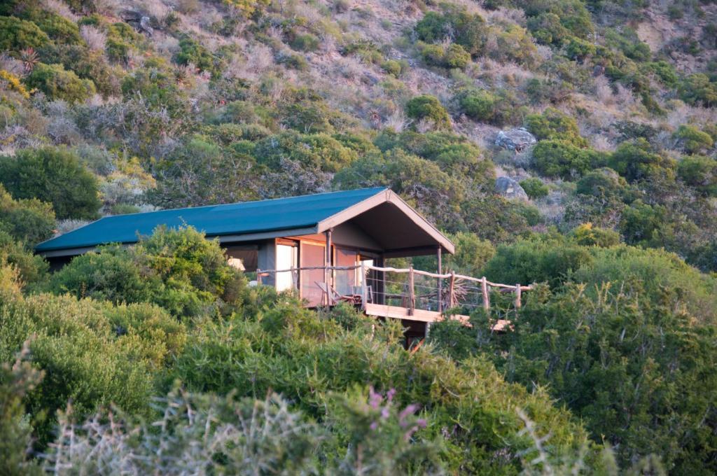 Hillsnek Safari Camp - Амакала-Ґейм-Резерв Номер фото